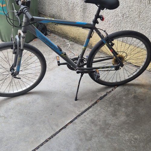 Leopard star cat mountainbike - cat,